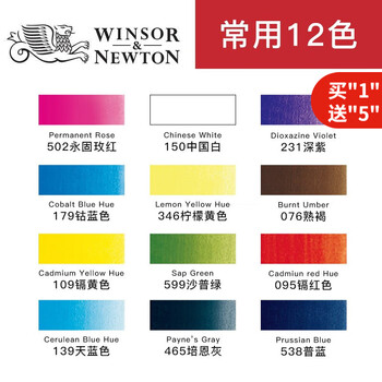 Winstone Color 温莎 牛顿 水彩颜料 8ml 21ml 自组常用12色18色24色 全系40色水彩套装 8ml 12色 单【图片 价格 品牌 报价】-京东