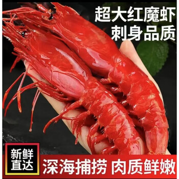 拾茗集红魔虾鲜活超大特级大虾鲜活刺身海鲜水产生呛大虾速冻魔鬼虾17