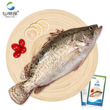 仙泉湖 桂花鱼三去净膛400~500g(cnas认证)广东鳜鱼烧烤食材轻食海鲜