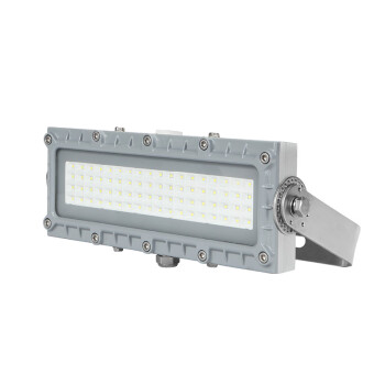 通明电器 TORMIN BC9102S-L30 LED防爆灯 30W 212×338×93mm (单位:套)