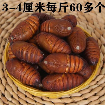 蚕蛹东北特产黄蚕蛹新鲜活蚕蛹鲜活野生柞蚕蛹茧蛹黄蛹3 4厘米5斤 图片价格品牌报价 京东
