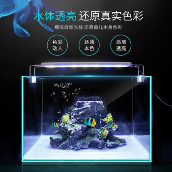 淘歌 Tg 鱼缸灯led灯水族箱照明灯光灯架灯具造景灯小型支架t30 图片价格品牌报价 京东