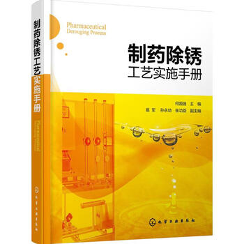 制药除锈工艺实施手册 何国强 主编 书籍