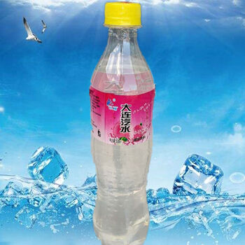 大连汽水碳酸饮料大连老汽水夏日怀旧汽水东北风味一份 水蜜桃 18瓶