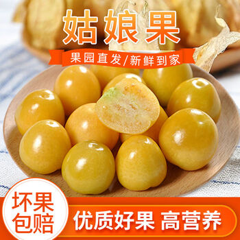 坏果包赔东北姑娘果菇娘灯笼果新鲜水果人工挑选香甜多汁姑娘果半斤