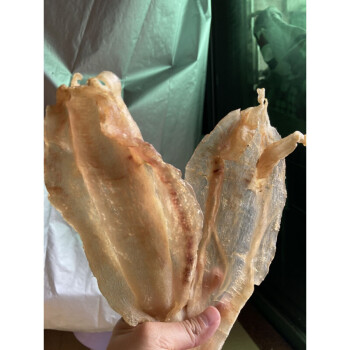 蘇里南赤嘴鰵魚尖尾北海魚膠公母魚泡花膠乾貨250g 母膠22頭/斤【250