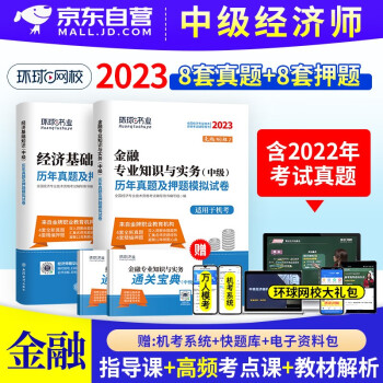  环球网校2024中级经济师历年真题试卷 金融+经济基础知识 4本套(官方正版)经济师中级考试用书真题卷 可搭刘艳霞精讲班网课视频课件同步训练零基础讲义