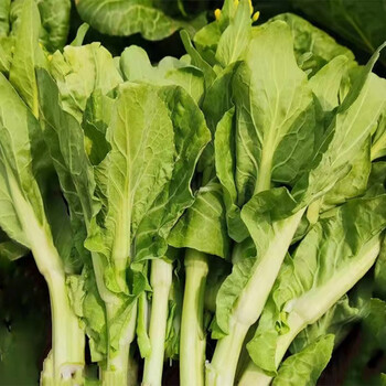 欣农梦白菜苔新鲜本地菜苔甜菜苔青菜新鲜蔬菜农家自种应季时令青菜 5