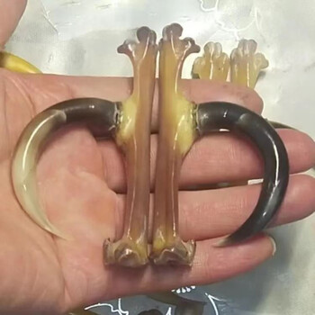 2022新款复古文玩鸡爪骨文玩  鸡爪骨头文玩拐子骨头文玩男士随身品手