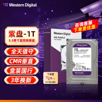 西部数据（WD） 紫盘  SATA接口  安防录像监控录像机 CMR垂直 3.5英寸台式机械硬盘 1TB 紫盘【WD10EJRX】