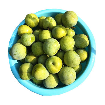 西藏 风味坐标 洪九果品 李子 以斤起拍(企业大客户产品,个人和其他