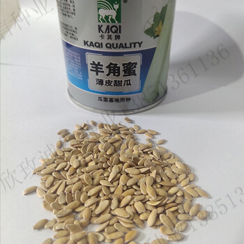 羊角蜜种孑羊角蜜甜瓜种籽四季播薄皮早熟高产羊角脆香瓜蔬菜种子试用