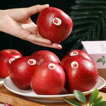 人类第四个苹果红富士果园新鲜采摘产地直发优质农产品 4.5斤富士彩箱装11-12枚 宁县苹果 人类第四个苹果