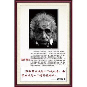 新品 科学家挂画袁隆平钱学森学校教室墙贴海报励志名人名言画像桔红色9爱因斯坦40 60cm背面带胶 假框撕开即贴 图片价格品牌报价 京东