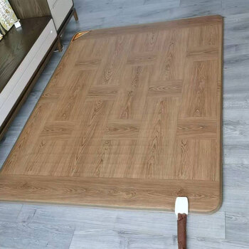 冬季新品韩国电热毯水暖韩一水暖地垫双人移动电热地毯地热垫家用水