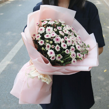 北京小雏菊向日葵混搭玫瑰花束洋甘菊鲜花速递同城生日配送花上门粉色小雏菊花束 粉嫩 图片价格品牌报价 京东