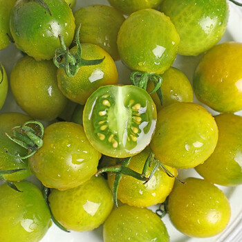 寻味君 绿宝石圣女果 小番茄西红柿青蜜绿色番茄 新鲜水果 5斤