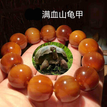 lomuee高档黄金甲手串生满血山龟甲手串山龟壳酒红色手链男款黄金甲