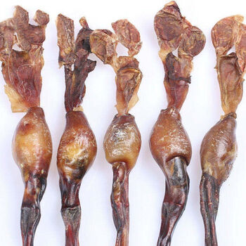 狗鞭 黄狗泡酒鞭 中药材泡酒料养生泡酒狗 滋补 鞭 黄狗鞭一条 中条