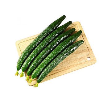 带刺水果黄瓜应季生鲜山东寿光现摘现发生吃黄瓜清甜脆可口绿黄瓜5斤