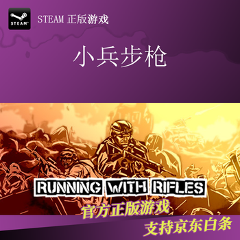 pc中文正版steam平台游戏小兵步枪太平洋战争雪绒花dlc拓展3简体中文