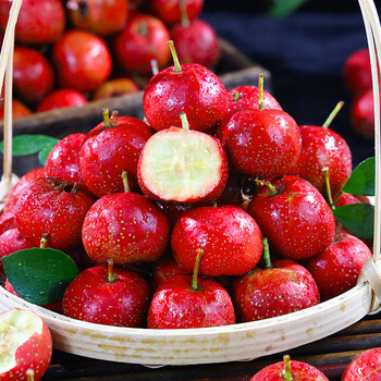 新鲜山楂精品山楂果现发山楂果糖葫芦山楂红果果大五菱大金星棉球