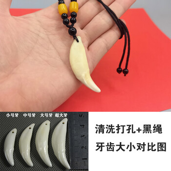 原色狼牙项链男生真黑狗牙吊坠情侣藏獒牙本命年女挂件护身符礼物55
