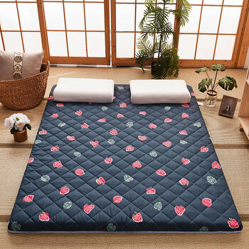 隔凉垫地铺午睡床垫租房泛用褥子地垫睡觉打地铺神器睡垫折叠防潮午休