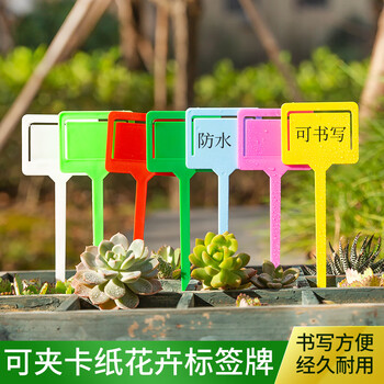 新奇特塑料多肉标签花卉园艺插地牌多肉植物名字标签防水小插牌 夹卡