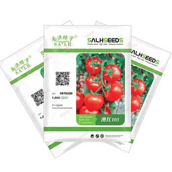 西红柿种子大果红柿子籽抗ty死棵高硬度红果高产耐寒澳红103南澳绿亨