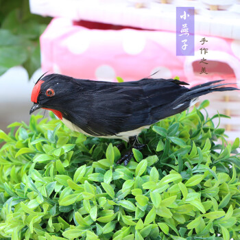 仿真動物標本黃鸝鳥伯勞小鳥擺件喜鵲杜鵑真羽毛鳥類裝飾工藝品小燕子