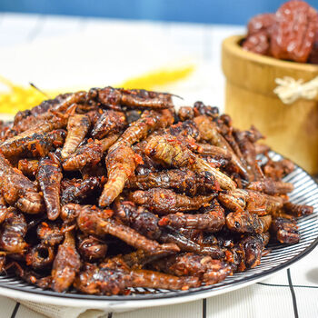 香辣肉感蚂蚱即食黄虫蚂蚱油炸蝗虫可食用蚂蚱油炸蚂蚱香辣56克 1袋