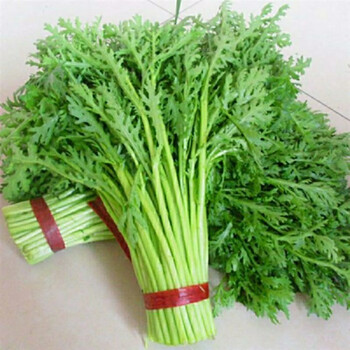 新鲜茼蒿火锅蔬菜叶子菜生鲜绿色食品青菜蔬菜茼蒿皇帝菜【15天内发货