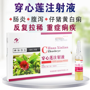穿心莲注射兽用兽药剂穿心莲注射针液兽用拉稀腹泻穿心莲注射液买10送