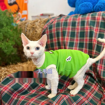 宠动员chongdongyuan斯芬克斯无毛猫德文薄款春夏新品宠物衣服背心