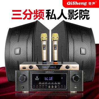 奇声(qisheng) k17三分频10吋家庭音响套装全套家用卡拉ok专业会议卡