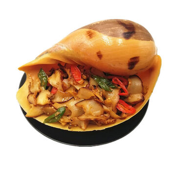 【好物推荐】鲜美惊生海捕椰子螺10斤急冻超大黄螺油螺木瓜螺肉片海鲜