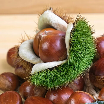 逸口香(yee kou) 新鲜采摘大板栗河北特产大个毛栗新鲜板栗农家生栗子