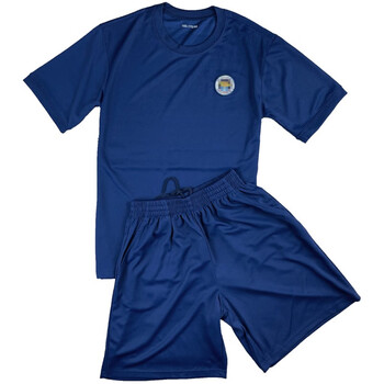 新式消19防员火焰蓝体能服救援夏季户外运动速干专职体能短袖t恤 圆标