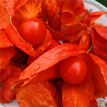 东北长白山红姑娘 苦姑娘 山姑娘灯笼果 苦菇娘挂金灯 2斤(冷冻果)