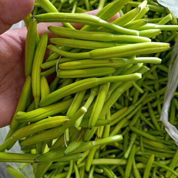 黄花菜新鲜金针菜现摘现发孕妇菜凉拌菜时令蔬菜萱菜酒店食材2斤装