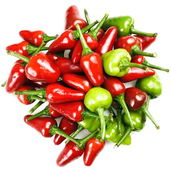 农家现摘新鲜红辣椒灯笼椒辣椒绿色草莓椒 5斤装青红混装