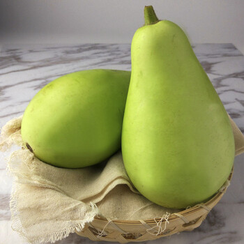 福建漳州菜葫芦瓜新鲜食用圆葫芦瓠子蒲瓜瓠瓜农家种植蔬菜 4斤