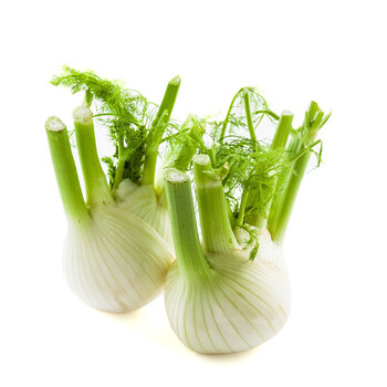 新鲜茴香头500g茴香根球茎茴香西餐特色蔬菜香料500g