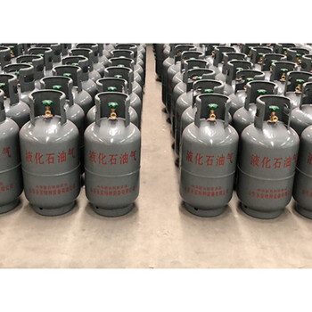 派力德家用液化石油气钢瓶煤气罐便携式小气瓶全新户外10 5千克煤气罐