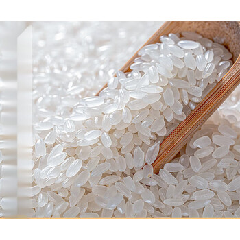 友炫东北长粒香大米新米稻花香米10斤装厂家黑龙江寒地东北香米精选