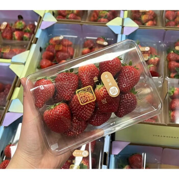 净樱万和七彩黑珍珠草莓精品果肉瓷实稀有高端品种 1040g 中小果(单果