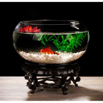 荷花缸户外荷花缸大水缸花盆透明造景小鱼缸玻璃圆形加厚带花边荷花