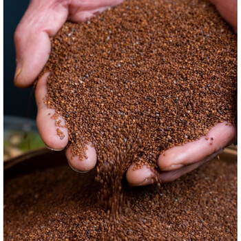 冰粉籽 四川冰籽 手搓气泡冰粉 商用木瓜籽 糍粑冰粉料