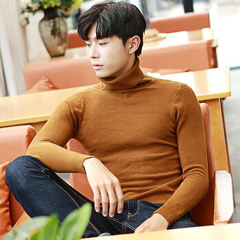 焕冠(huanguan)高领毛衣男易穿搭秋冬新款高领毛衣男韩版潮流半针织